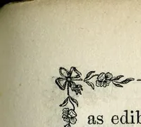 An illustration from Blacker's art of fly making, &c.; 1855 (1855)