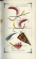 Picture 3 of 10 from Blacker's art of fly making, &c.; 1855 (1855), leaf 82