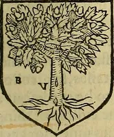 An illustration from The Blazon of Gentrie: : Deuided into two parts. The first named The Glorie of Generositie. The second, Lacyes Nobilitie. Comprehending discourses of Armes and of Gentry. Wherein is treated of the beginning, parts and degrees of Gentlenesse, vvith her lawes: Of the Bearing, and Blazon of Cote-armors: Of the Lawes of Armes, and of combats. (1586)