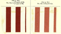 An illustration from Bleaching and calico-printing : a practical manual (1896)