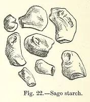 Picture 3 of 8 from Bleaching and calico-printing : a practical manual (1896), leaf 90