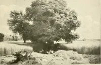 An illustration from Bâle, Berne et Genève (1909)