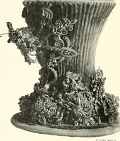 Picture 113 of 113 from Bâle, Berne et Genève (1909), leaf 155