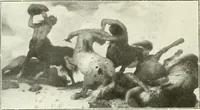 Picture 34 of 113 from Bâle, Berne et Genève (1909), leaf 55
