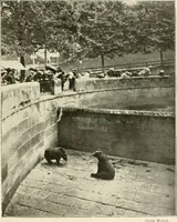 An illustration from Bâle, Berne et Genève (1909)