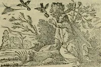 An illustration from Koren-bloemen : nederlandsche gedichten (1672)