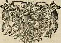 Picture 24 of 27 from Koren-bloemen : nederlandsche gedichten (1672), leaf 801