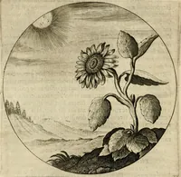 An illustration from Bloemhof der doorluchtige voorbeelden, daer in door ware, vreemde en deftige geschiedenissen, leeringen en eygenschappen, alles dat de mensch tot nut en vermaek verstrekken kan, te bemerken is : uit de schriften van Philippus Camerarius, Michiel de Montanje en andere schrijvers getrokken en vertaelt (1647)
