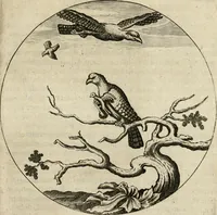 An illustration from Bloemhof der doorluchtige voorbeelden, daer in door ware, vreemde en deftige geschiedenissen, leeringen en eygenschappen, alles dat de mensch tot nut en vermaek verstrekken kan, te bemerken is : uit de schriften van Philippus Camerarius, Michiel de Montanje en andere schrijvers getrokken en vertaelt (1647)