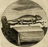 Picture 9 of 9 from Bloemhof der doorluchtige voorbeelden, daer in door ware, vreemde en deftige geschiedenissen, leeringen en eygenschappen, alles dat de mensch tot nut en vermaek verstrekken kan, te bemerken is : uit de schriften van Philippus Camerarius, Michiel de Montanje en andere schrijvers getrokken en vertaelt (1647), leaf 287