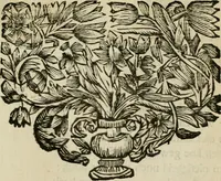 An illustration from Bloem-tuintje : bestaande in twee deelen : het eerste in innerlyke bedenkingen, en geleikenissen, het tweede in eenige zang- en lees-rymen (1724)