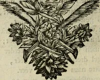 An illustration from Bloem-tuintje : bestaande in twee deelen : het eerste in innerlyke bedenkingen, en geleikenissen, het tweede in eenige zang- en lees-rymen (1724)