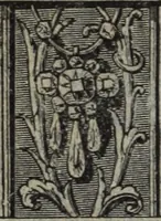 An illustration from ["Blue book"]. (1882)