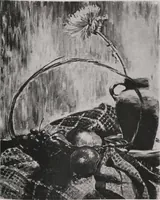 Picture 8 of 95 from Annual exhibition [electronic resource] : no jury, no prizes (1917), leaf 14