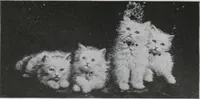 An illustration from Annual exhibition [electronic resource] : no jury, no prizes (1917)
