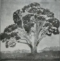 An illustration from Annual exhibition [electronic resource] : no jury, no prizes (1917)