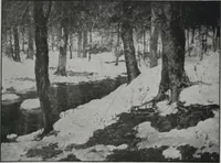 Picture 75 of 94 from Annual exhibition [electronic resource] : no jury, no prizes (1917), leaf 79