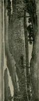 An illustration from The Swedish art exhibition [electronic resource] (1916)