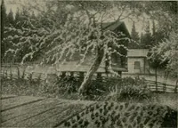 Picture 22 of 25 from The Swedish art exhibition [electronic resource] (1916), leaf 67