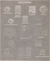 Picture 136 of 377 from Catalogue of the international exhibition of contemporary medals. March, 1910 [electronic resource] (1911), leaf 159