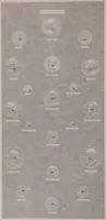 Picture 248 of 377 from Catalogue of the international exhibition of contemporary medals. March, 1910 [electronic resource] (1911), leaf 297