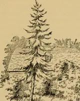 An illustration from Boating trips on New England rivers (1884)
