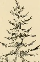 An illustration from Boating trips on New England rivers (1884)