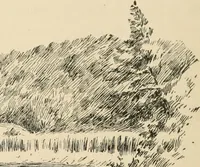 An illustration from Boating trips on New England rivers (1884)