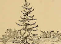 An illustration from Boating trips on New England rivers (1884)