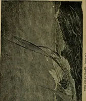 An illustration from Boat sailing in fair weather and foul (1895)