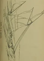 An illustration from Boat sailing in fair weather and foul (1895)