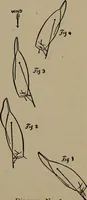 An illustration from Boat sailing in fair weather and foul (1903)