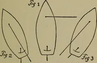 An illustration from Boat sailing in fair weather and foul (1903)