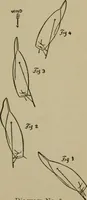 An illustration from Boat sailing in fair weather and foul (1903)