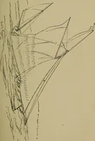 An illustration from Boat sailing in fair weather and foul (1903)