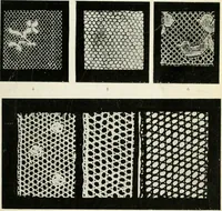 Picture 4 of 77 from Bobbins of Belgium; a book of Belgian lace, lace-workers, lace-schools and lace-villages (1920), leaf 10