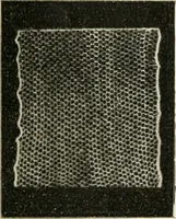 Picture 5 of 77 from Bobbins of Belgium; a book of Belgian lace, lace-workers, lace-schools and lace-villages (1920), leaf 11