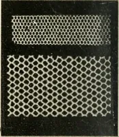 An illustration from Bobbins of Belgium; a book of Belgian lace, lace-workers, lace-schools and lace-villages (1920)