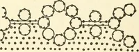 An illustration from Bobbins of Belgium; a book of Belgian lace, lace-workers, lace-schools and lace-villages (1920)
