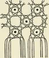 Picture 69 of 77 from Bobbins of Belgium; a book of Belgian lace, lace-workers, lace-schools and lace-villages (1920), leaf 352
