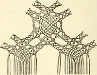 Picture 70 of 77 from Bobbins of Belgium; a book of Belgian lace, lace-workers, lace-schools and lace-villages (1920), leaf 353