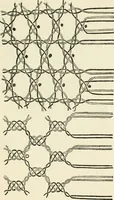 Picture 71 of 77 from Bobbins of Belgium; a book of Belgian lace, lace-workers, lace-schools and lace-villages (1920), leaf 354
