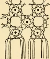 An illustration from Bobbins of Belgium; a book of Belgian lace, lace-workers, lace-schools and lace-villages (1920)