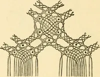 An illustration from Bobbins of Belgium; a book of Belgian lace, lace-workers, lace-schools and lace-villages (1920)