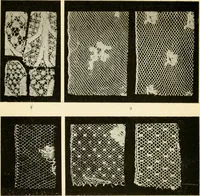 An illustration from Bobbins of Belgium; a book of Belgian lace, lace-workers, lace-schools and lace-villages (1920)