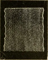 An illustration from Bobbins of Belgium; a book of Belgian lace, lace-workers, lace-schools and lace-villages (1920)