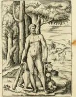 Picture 56 of 152 from Achillis Bocchii Bonon. Symbolicarvm quaestionvm de vniverso genere qvas serio lvdebat libri qvinqve (1555), leaf 135