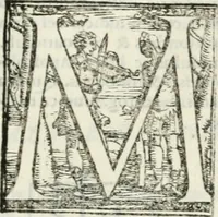 An illustration from Achillis Bocchii Bonon. Symbolicarvm quaestionvm de vniverso genere qvas serio lvdebat libri qvinqve (1555)