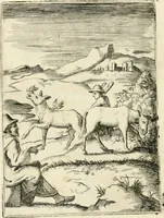 An illustration from Achillis Bocchii Bonon. Symbolicarvm quaestionvm de vniverso genere qvas serio lvdebat libri qvinqve (1555)