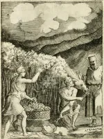 Picture 121 of 152 from Achillis Bocchii Bonon. Symbolicarvm quaestionvm de vniverso genere qvas serio lvdebat libri qvinqve (1555), leaf 269